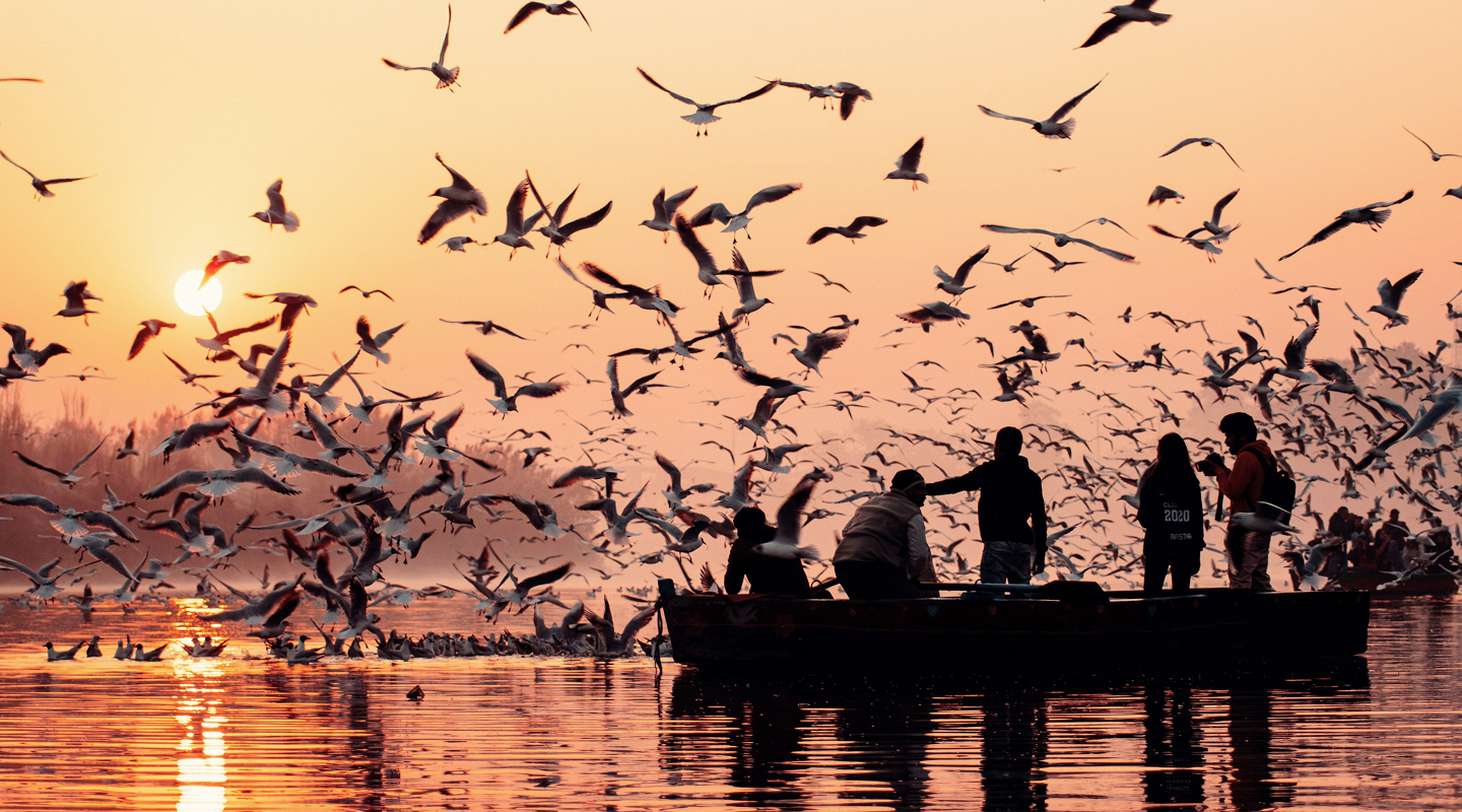 Golden Triangle Of India (5)