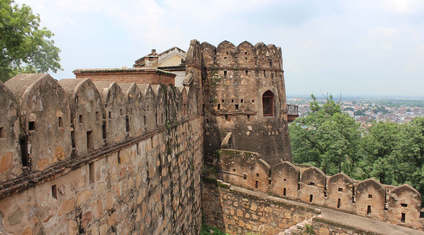 Mosaic of Central India (3)