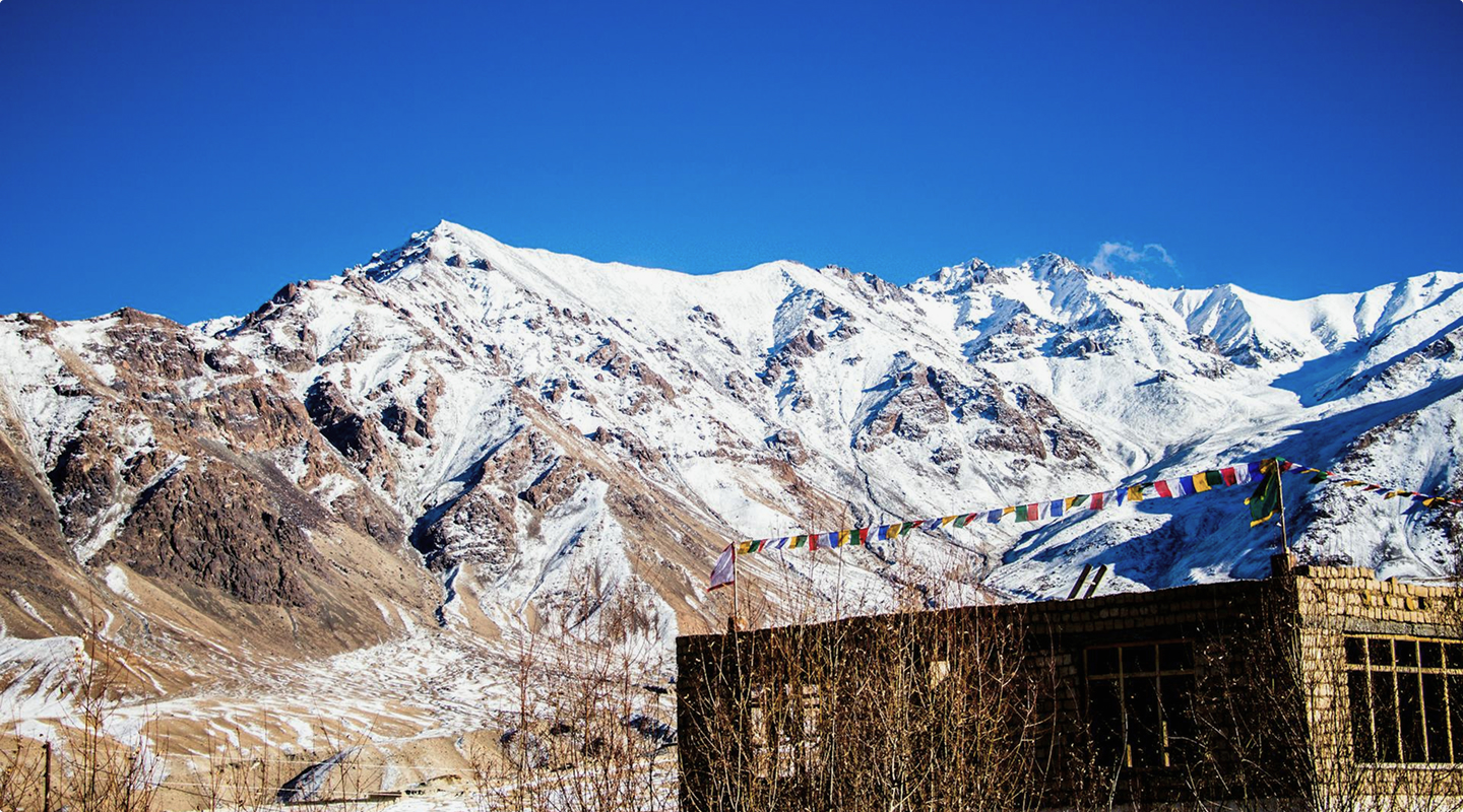 Snow Leopard Tour (4)