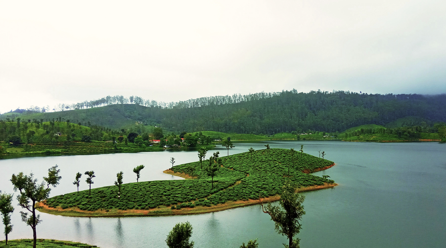 Southern Symphony (3)